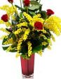 FESTA DELLA DONNA