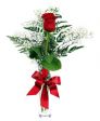 Regalami una rosa...mi stupirai anche se siamo lontani! 