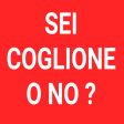 OGGI SCOPRIAMO SE SEI DAVVERO UN COGLIONE 